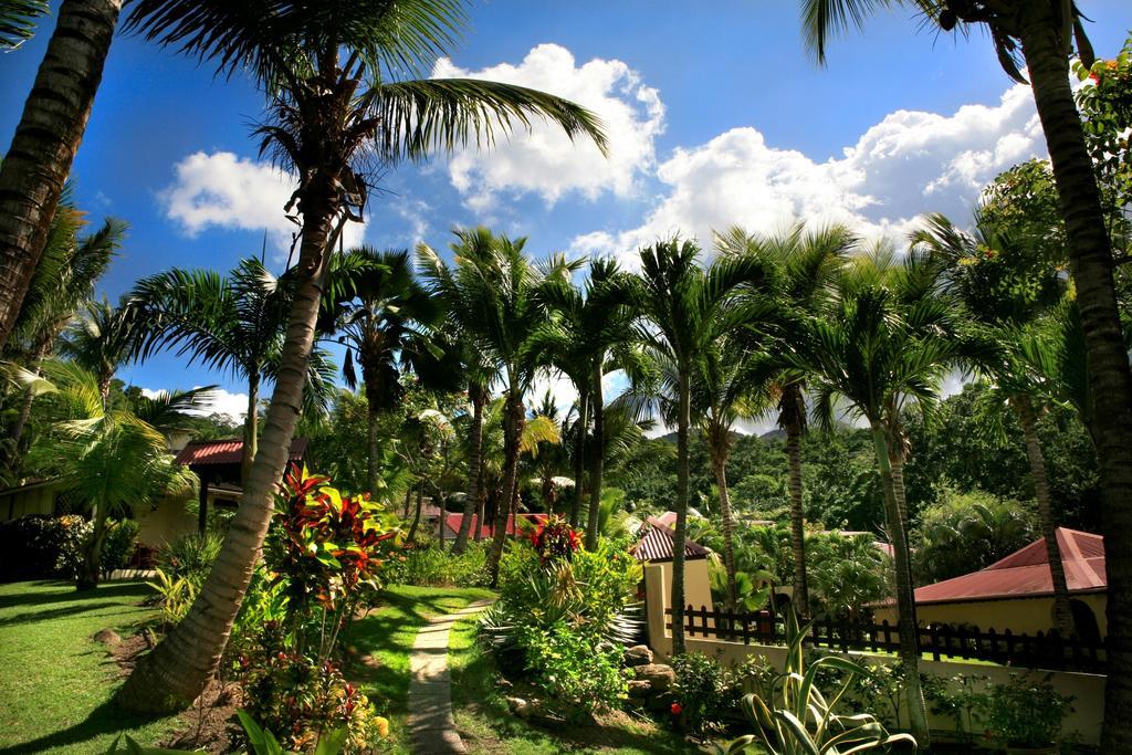 Hotel - Residence Habitation Grande Anse Deshaies Kültér fotó